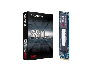 Gigabyte 256GB NVMe M.2 SSD