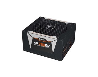 Gigabyte Aorus P750GM 750Watt 80+ Gold Full Modular Power Supply
